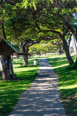 Sahildeki patika, Lahaina, Maui, selam.
