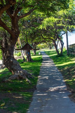 Sahildeki patika, Lahaina, Maui, selam.