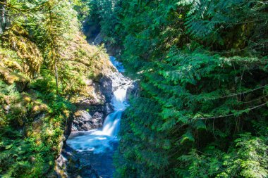 Twin Falls, Snoqualmie Geçidi, WA