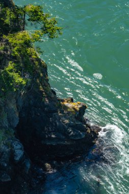 Deception Pass Köprüsünden Whidbey Adası Sahil Hattı