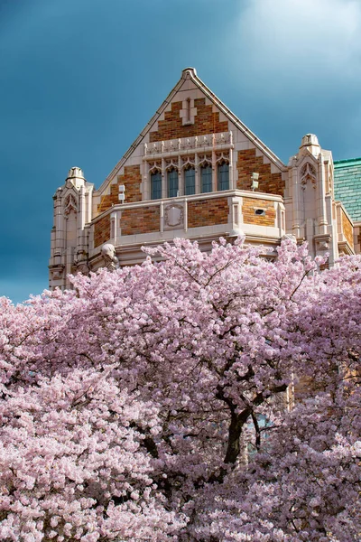 Biblioteca Suzallo Universidad Washington Seattle Washington Primavera — Foto de Stock