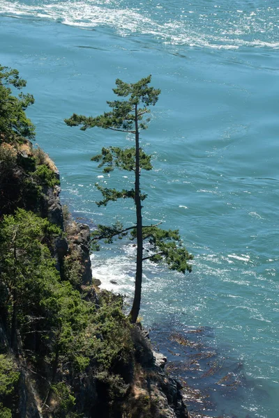 Whidbey Island Shoreline Deception Pass Bridge — Φωτογραφία Αρχείου