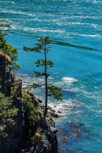 Whidbey Island Shoreline Deception Pass Bridge — Foto de Stock