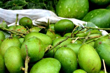 Hindistan 'da bir köy pazarında yeşil mango.