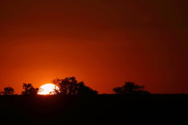 Sundown Kruger Park South Africa