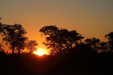 Sundown Kruger Park South Africa