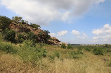 Crocodile River / Crocodile River / 