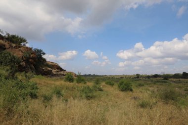 Crocodile River / Crocodile River / 