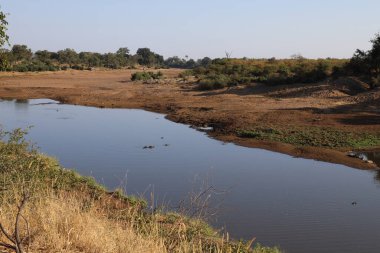 Shingwedzi River / Shingwedzi River / 