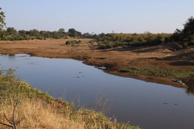 Shingwedzi River / Shingwedzi River / 