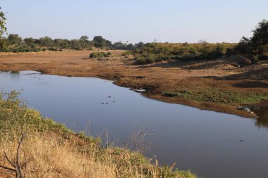 Shingwedzi River / Shingwedzi River / 