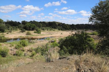 Timbavati River / Timbavati River / 