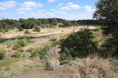 Timbavati River / Timbavati River / 