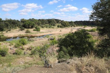 Timbavati River / Timbavati River / 