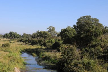 Matjulu River / Matjulu River / 