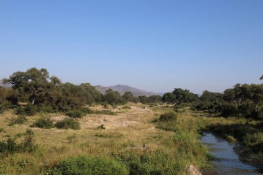 Matjulu River / Matjulu River / 