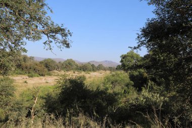 Matjulu River / Matjulu River / 