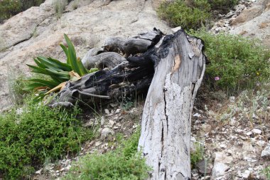 Samos - Griechenland / Samos - Greece /