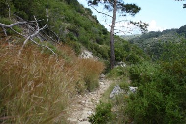 Samos - Griechenland / Samos - Greece 