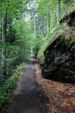 Landschaft Bayern - Bayrischer Wald / Landscape Bavaria - Bavarian Forest / 