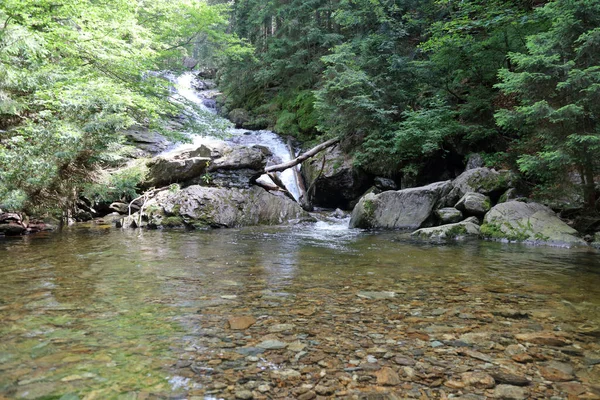 Landschaft Bayern Bayrischer Wald Rieslochfaelle Landscape Bavaria Bavarian Forest Riesloch — 图库照片