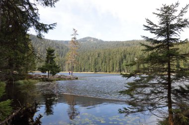 Grosser Arbersee / Grosser Arbersee / 