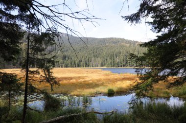 Grosser Arbersee / Grosser Arbersee / 