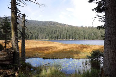 Grosser Arbersee / Grosser Arbersee / 