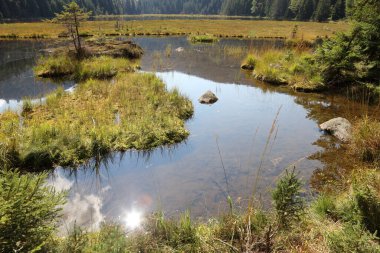 Kleiner Arbersee / Kleiner Arbersee / 