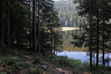 Kleiner Arbersee / Kleiner Arbersee / 