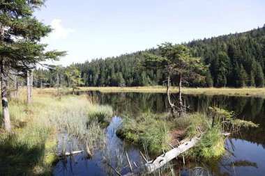 Kleiner Arbersee / Kleiner Arbersee / 