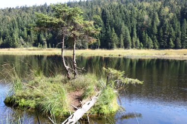 Kleiner Arbersee / Kleiner Arbersee / 