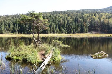 Kleiner Arbersee / Kleiner Arbersee / 