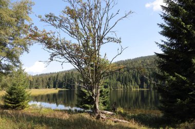 Kleiner Arbersee / Kleiner Arbersee / 