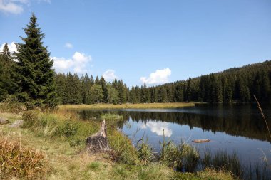 Kleiner Arbersee / Kleiner Arbersee / 