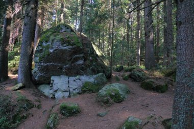 Landschaft Bayern / Landscape Bavaria / 