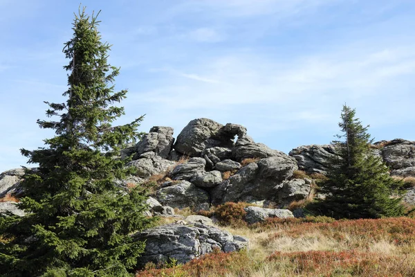 Berg Arber Mountain Arber — Stockfoto