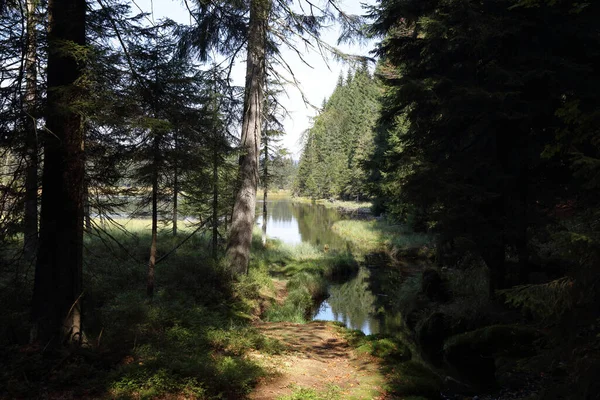 Kleiner Arbersee Kleiner Arbersee —  Fotos de Stock