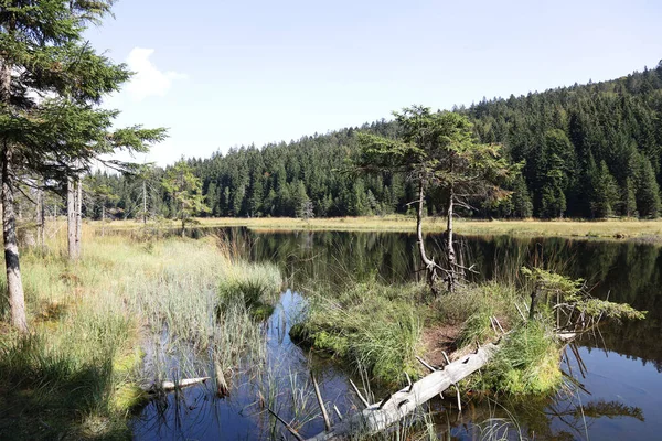 Kleiner Arbersee Kleiner Arbersee — Stock Photo, Image