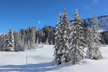 Kleinwalsertal - Winter / Kleinwalsertal - Winter