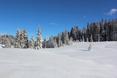 Kleinwalsertal - Winter / Kleinwalsertal - Winter