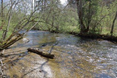 Peyzaj Bayern - Oberbayern - Ach / Peyzaj Bavyera - Yukarı Bavyera - Ach /