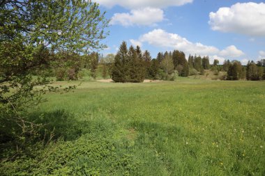 Peyzaj Bayern - Oberbayern / Peyzaj Bavyerası - Yukarı Bavyera /