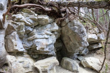 Peyzaj Bayern - Oberbayern / Peyzaj Bavyerası - Yukarı Bavyera /