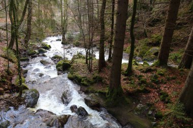 Peyzaj Schwarzwald - Ravennaschlucht / Peyzaj Kara Ormanı - Ravenna Vadisi / 