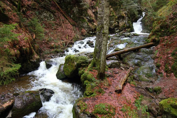 Landschaft Schwarzwald Ravennaschlucht Kleiner Ravennawasserfall 景観ブラックフォレスト ラヴェンナ渓谷 小さなラヴェンナの滝 — ストック写真