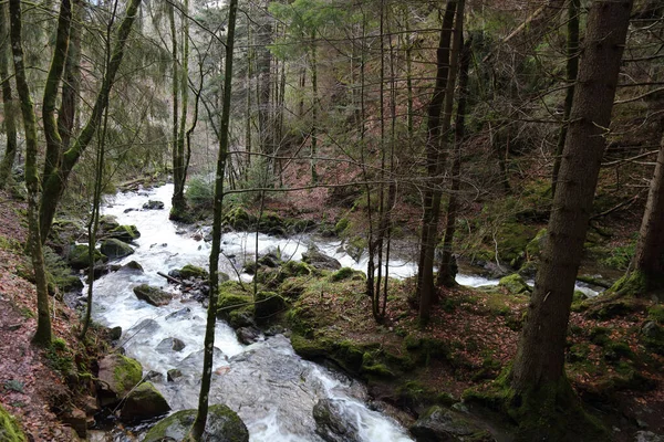 Landschaft Schwarzwald Ravennaschlucht Τοπίο Μαύρο Δάσος Φαράγγι Της Ραβέννας — Φωτογραφία Αρχείου