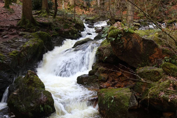 Landschaft Schwarzwald Ravennaschlucht Τοπίο Μαύρο Δάσος Φαράγγι Της Ραβέννας — Φωτογραφία Αρχείου