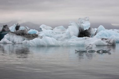 İzlanda 'da buzul gölü. İzlanda turistik merkezleri. Kutup buzulu. Okyanus buzulu