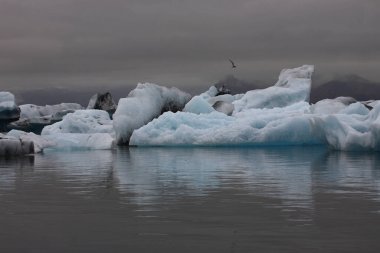 İzlanda 'da buzul gölü. İzlanda turistik merkezleri. Kutup buzulu. Okyanus buzulu